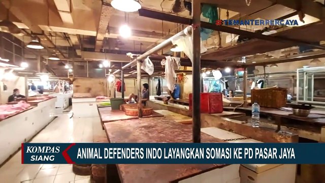 Animal Defenders Indonesia Ungkap Perdagangan Daging Anjing di Pasar Jaya Senen