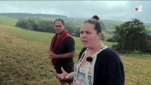 Aveyron : le vautour, nouvelle bête noire des éleveurs