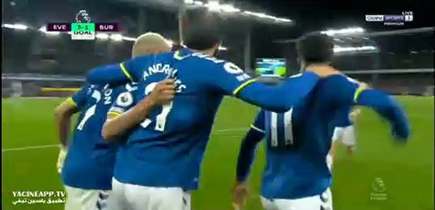 Andros Townsend Incredible Goal Everton VS Burn...
