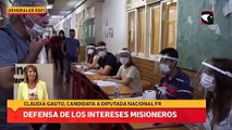 Defensa de los intereses misioneros