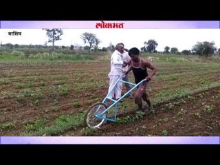 वाशिममध्ये शेतक-यांची आधुनिक पद्धतीनं शेती
