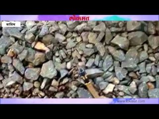 दुर्मिळ सापास दिले जीवदान!