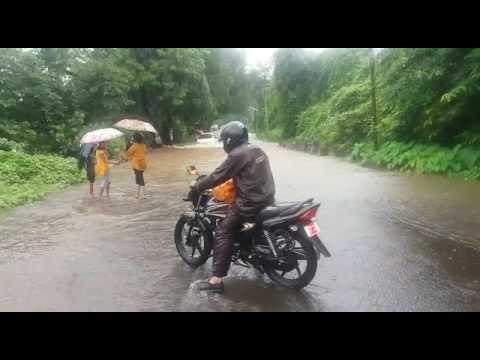 रत्नागिरी - सलग दुसऱ्या दिवशी पावसाचा जोर कायम