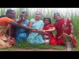 कोल्हापुरात नागपंचमी उत्साहात साजरी