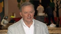 Anthony Albanese responds to criticism over sidelining Tu Le