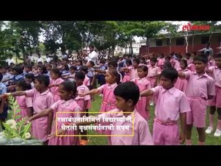 बुलडाण्यात रक्षाबंधनानिमित्त विद्यार्थ्यांनी घेतली वृक्षसंवर्धनाची शपथ