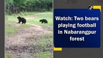 Watch: Two bears playing football in Nabarangpur forest