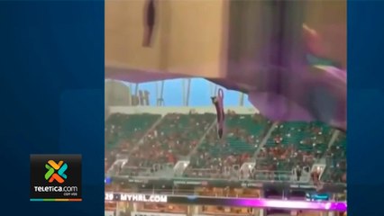 tn7-gato-partido-fútbol-americano-130921