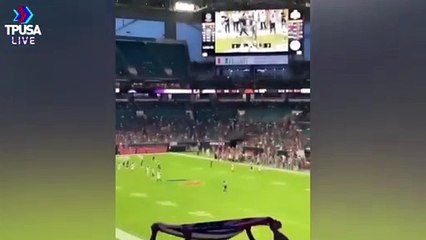 Stray Cat Falls From Upper Deck Into American Flag & LIVES!