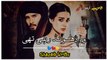 Khuda Aur Mohabbat Season 3 Ep 28 Pakistani Drama WhatsApp Status SahibZada Waqar Shayari Sad Poetry_32