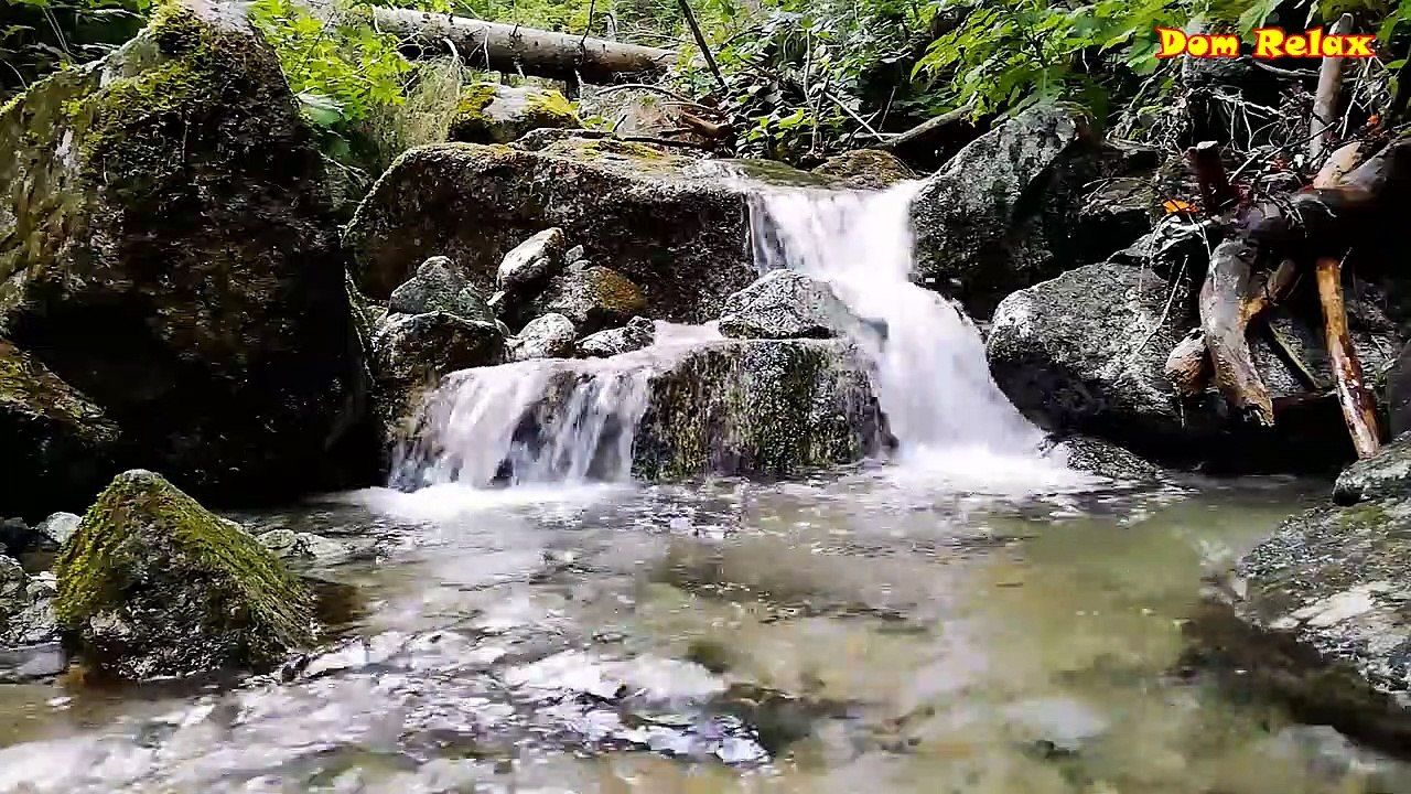 Relaxing With | The Sound Of Murmuring Streams, Birdsong In The Forest