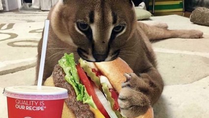 When a Hacker Finds Your Password....