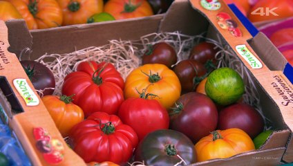 SONY DEMO 4K HDR : Paris - Thành phố xa hoa, xinh đẹp và tráng lệ bậc nhất thế giới