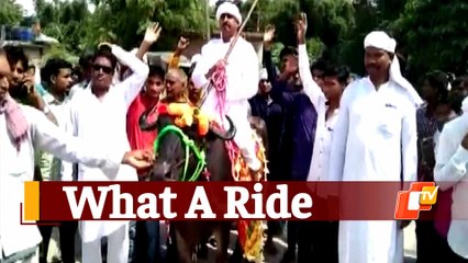 Bihar Panchayat Polls 2021: Candidate Arrives On A Buffalo