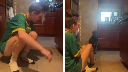 Que fait un chien quand sa maîtresse s'étouffe ?