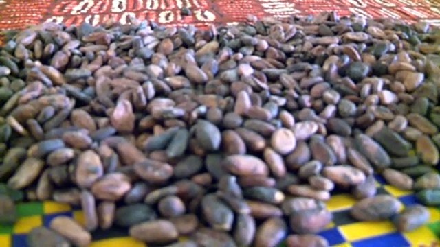 Lutte contre le travail des enfants : Une ONG initie un atelier de sensibilisation à Guitry