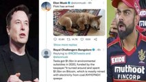 RCB Slams Elon Musk, ఇంతలో ట్విస్ట్ | IPL 2021 || Oneindia Telugu