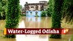 Several Parts Of Odisha Experience Severe Water Logging & Flood After Excess Rainfall
