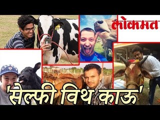 गोरक्षकांचा नवा फंडा | Selfie With Cow | Amazing News | Interesting News | Lokmat Marathi  News