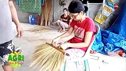 Paggawa ng Walis