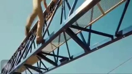 Điệp viên 007 sòng bạc hoàng gia