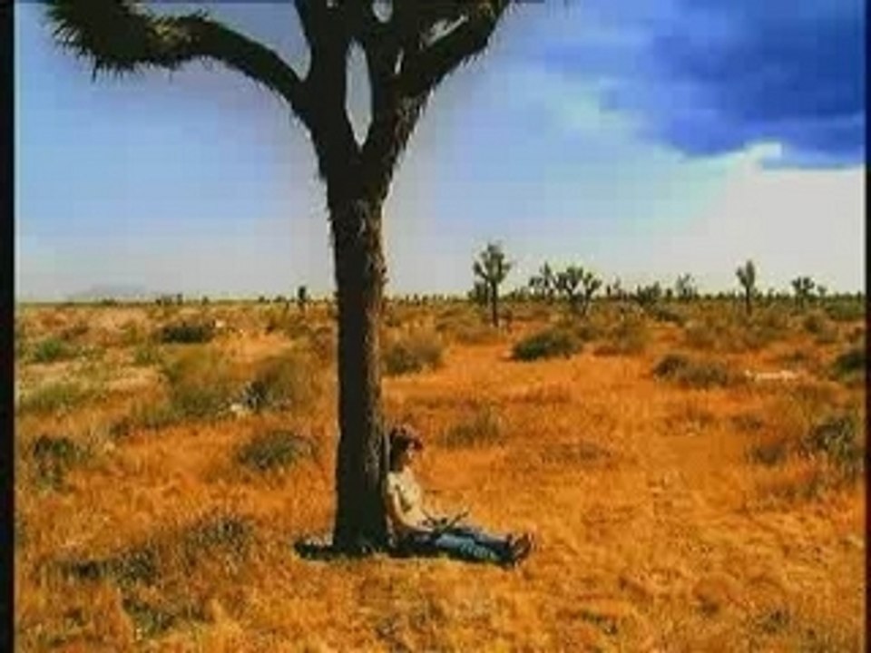 Ho Yeow Sun - Lonely Travel,  You Are My Star