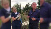 Peçeli baykuş 3 aylık bakım sonrası tabiata salındı