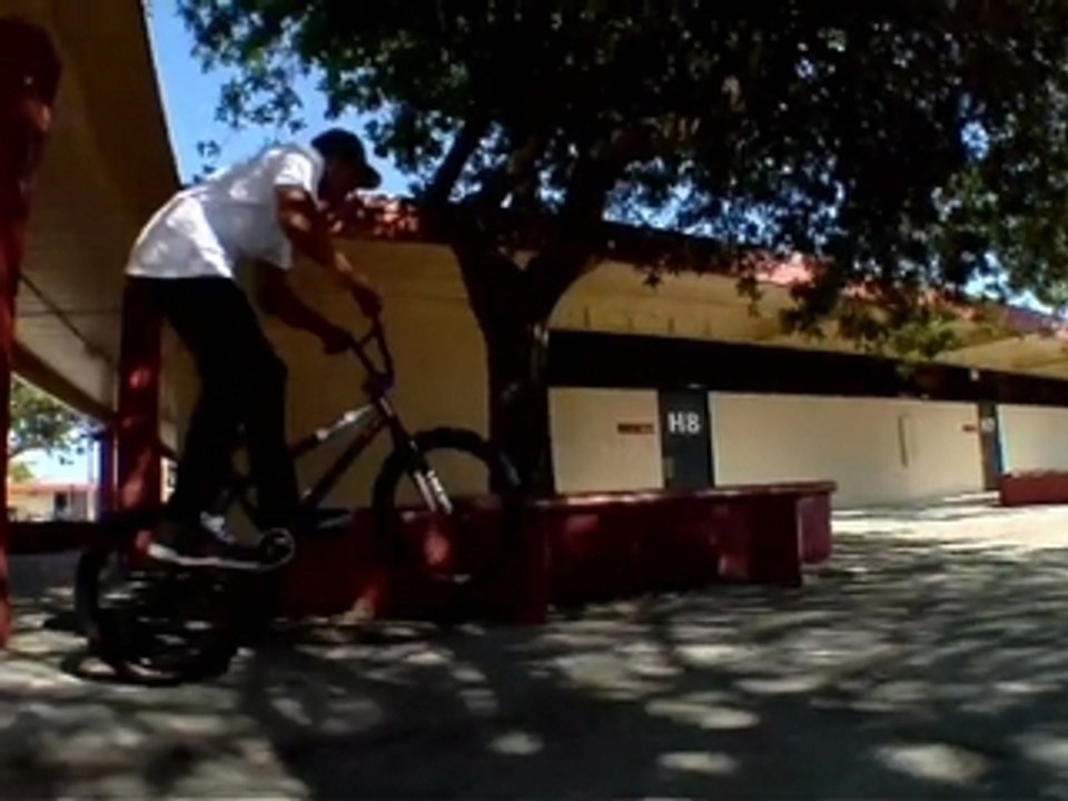 DAKOTA ROCHE REMIX