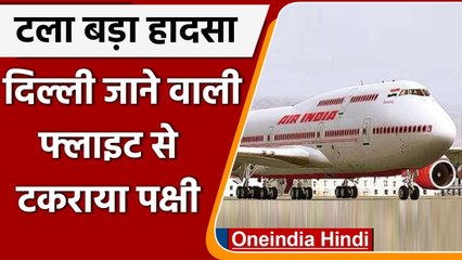 Chhattisgarh में हादसा होने से टला, Delhi जाने वाली Flight से टकराया पक्षी | वनइंडिया हिंदी