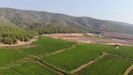 GAZİANTEP - Biber işçilerinin ücreti belirlendi