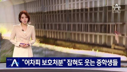 “어차피 보호처분” 잡혀도 또다시 범행 저지른 중학생들