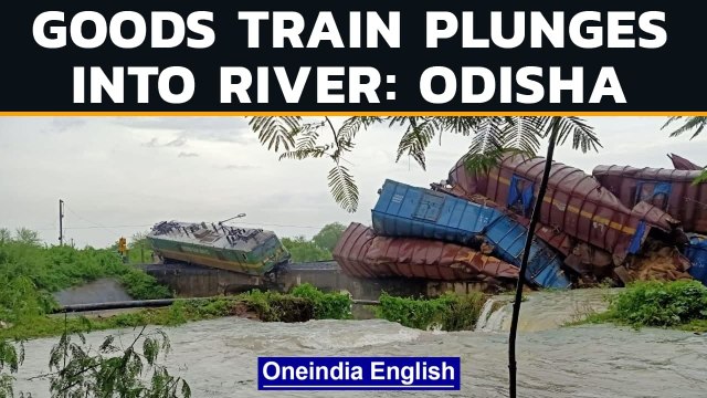 Odisha: Goods train derails, 6 coaches plunge into river | Oneindia News