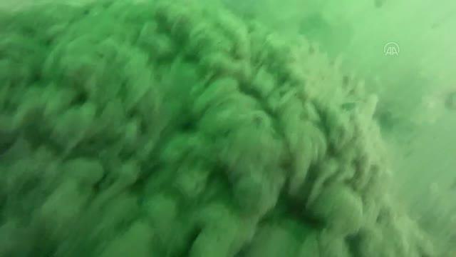 BALIKESİR - Marmara Denizi'nde dibe çöken müsilaj parçalanmaya devam ediyor