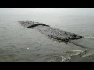 ओखी वादळाचा तडाखा ! मुंबईत आपत्कालीन यंत्रणा सज्ज