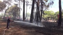 Manavgat'ta çıkan orman yangını havadan ve karadan müdahaleyle kontrol altına alındı