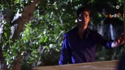 ΑΓΡΙΕΣ ΜΕΛΙΣΣΕΣ – Γ ΚΥΚΛΟΣ – ΠΡΕΜΙΕΡΑ ΔΕΥΤΕΡΑ 27 ΣΕΠΤΕΜΒΡΙΟΥ ΣΤΙΣ 22:00