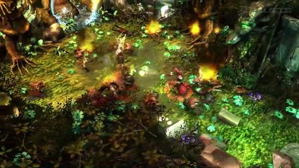 R.A.W. Realms of Ancient War: Cooperative Mode