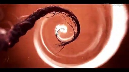 Zombi U: Trailer de Lanzamiento