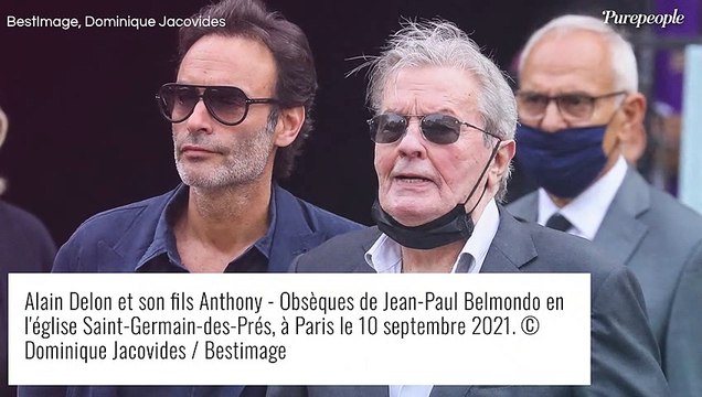Anthony Delon célibataire : la dernière apparition très sensuelle de son ex, Sveva Alviti