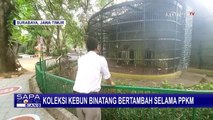 Koleksi Hewan Kebun Binatang Surabaya Bertambah, Jumlah Rusa Jadi yang Terbanyak!