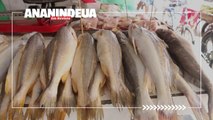 Vendedores de peixe de Ananindeua relatam queda de até 60% nas vendas