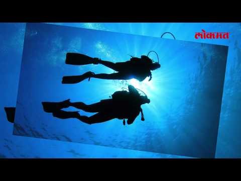 महिला स्कूबा डायव्हरचा जीव एका व्हेल माश्याने वाचवला | Lokmat Latest News Update | Lokmat News