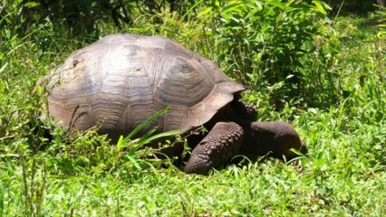 Top 5 Islands in Mexico and Central and South America