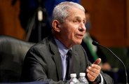 U.S. Travelers 'Should Be Vaccinated' Before Getting on a Plane, Dr. Fauci Says