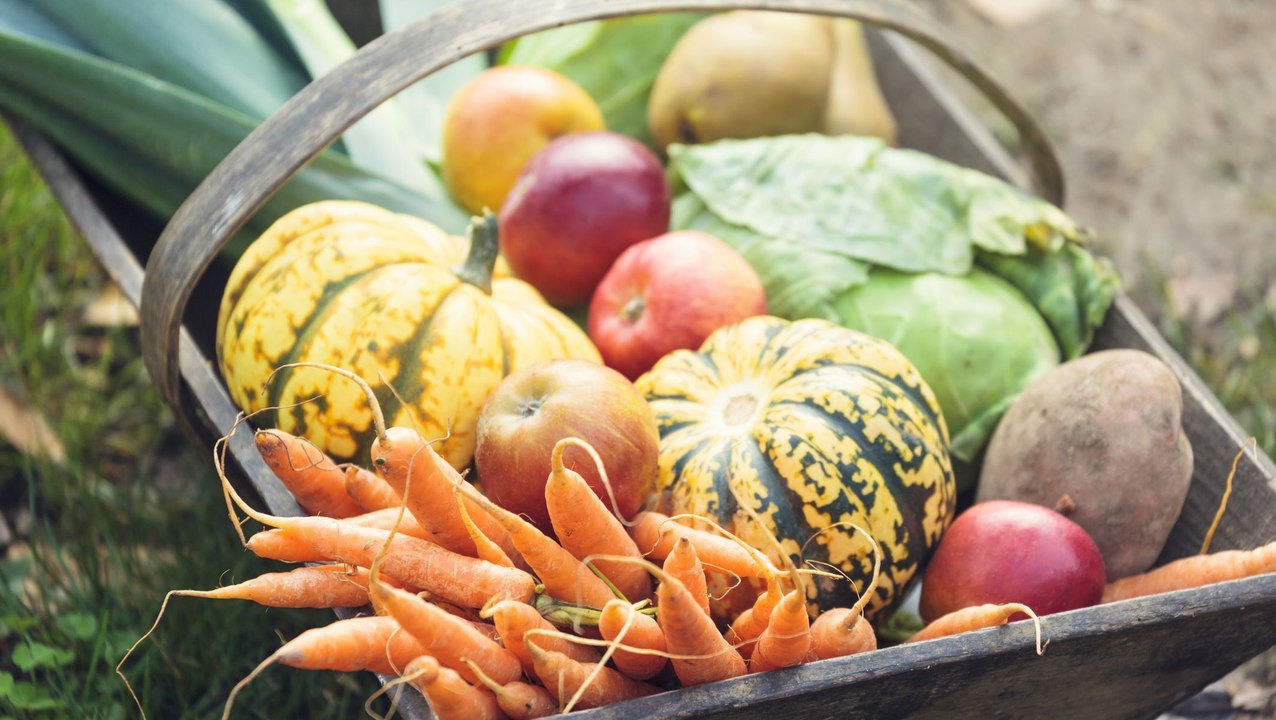 How to Plant a Fall Garden