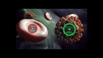 La Importancia Del Biomagnetismo En Los Virus,Bacterias,Hongos Y Parasitos