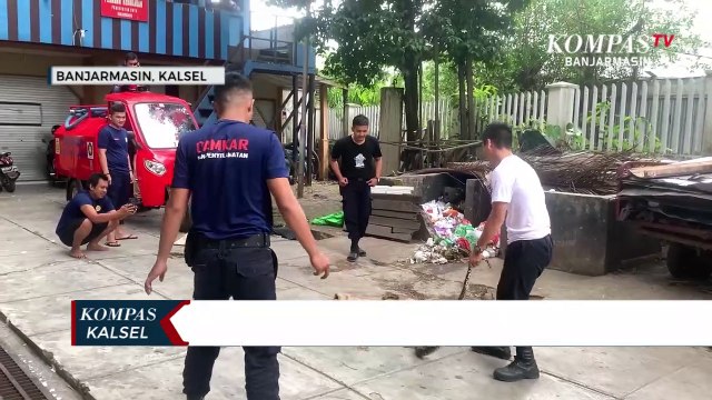 Petugas Damkar Tangkap Dua Ekor Ular Sanca yang Memangsa Ternak Warga