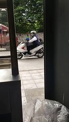 Good Samaritan Helps Dog Cross Street