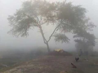 सांगली शहरासह परिसरावर धुक्याची चादर!