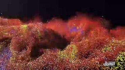 ...بسبب الاوضاع الاقتصادية . شكوك حول نزاهة...